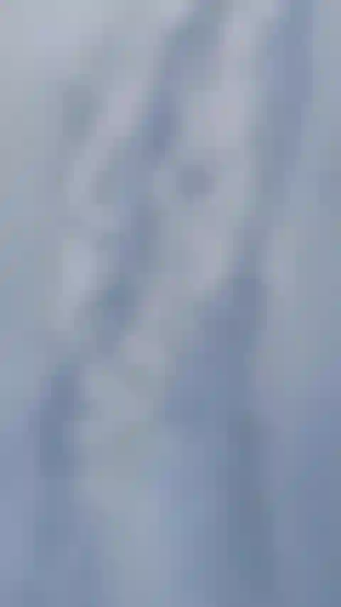 Il mio vestito nero in questo whiteout.