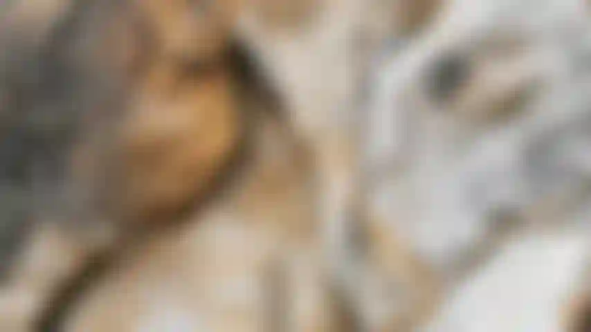 La sessione fotografica è finita, vado alla barca.