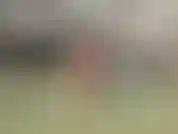 Nuoto e prendo il sole.