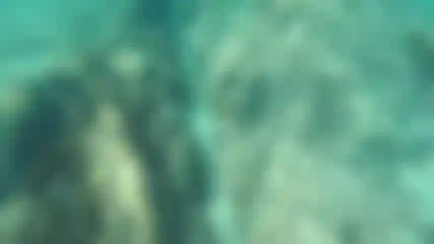 Nuoto nudo in acque limpide.