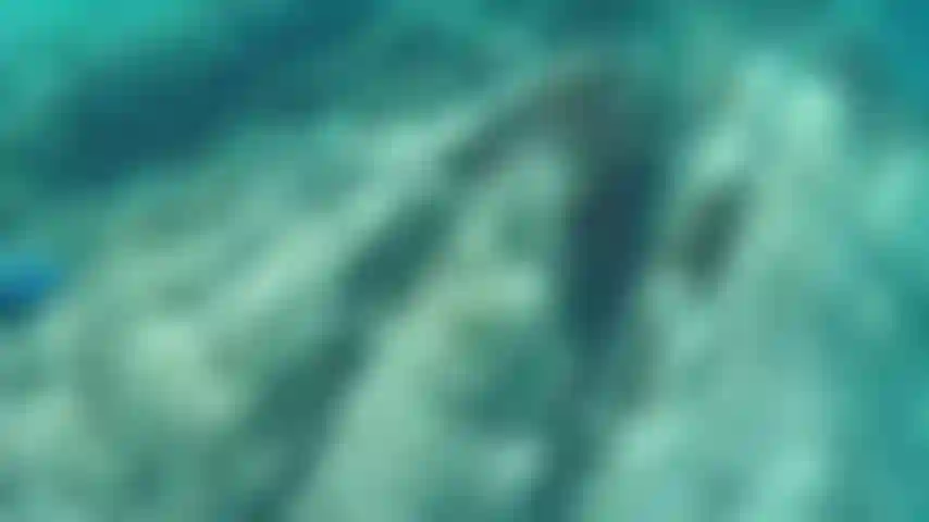 Che scherza un po' sott'acqua.
