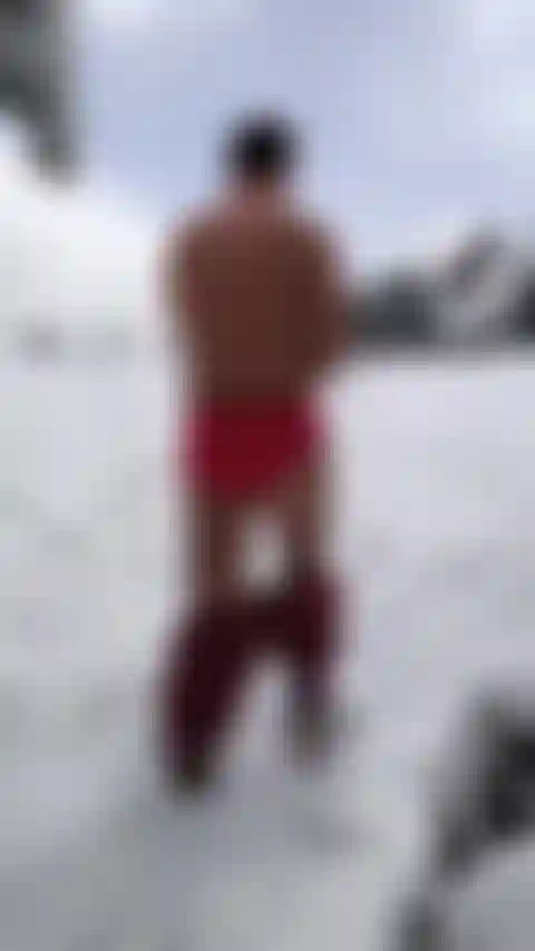 Bruto, la breve renna rossa, è in perdita.