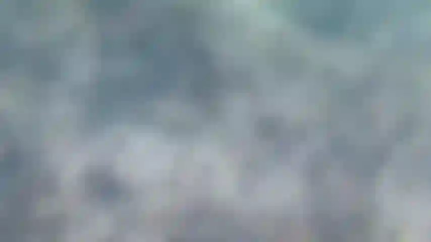 Uso le pinne per nuotare meglio.