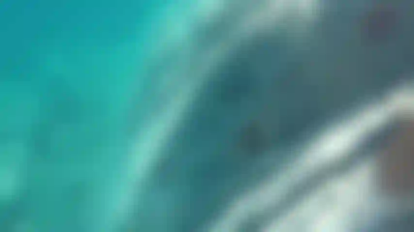Nuoto nudo.