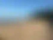 Cammino sulla spiaggia, poi faccio una nuotata.