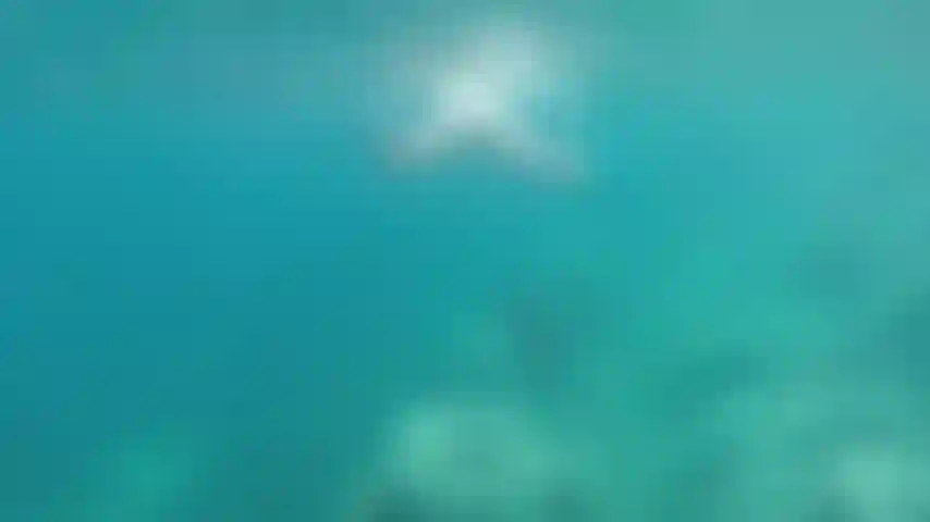 Nuoto nudo evitando le punture. :)).