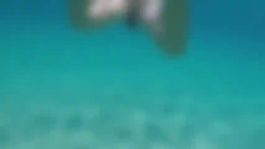 Nuoto nudo in acque limpide.