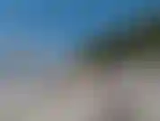 Mi diverto in uno speedo brasiliano accanto a un grande albero. View è incredibile.