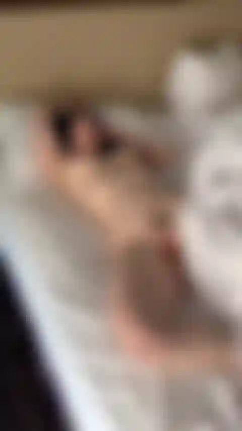 Vengo al mattino presto.