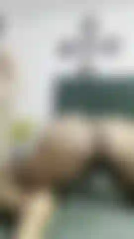 Un cazzo bianco allarga il mio culo nero per vedere cosa c'è dentro.