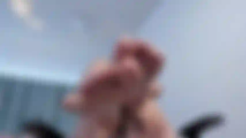 feet