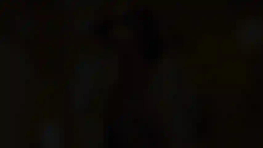 All this for your amusement