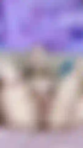 La mia figa bagnata ti sogna).