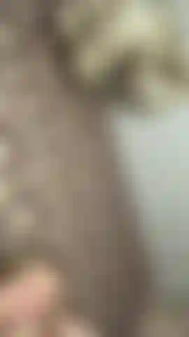 Sesso casalingo—la mia figa è bagnata (scusa, il microfono fa schifo, quindi non c'è audio).