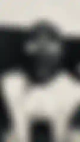 Fetish Girl  Use me  Master i love pleased ypu #Mask