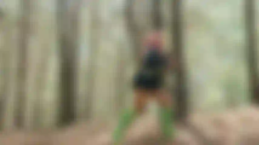 Foresta con mitsury.