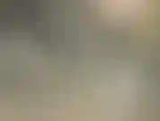 Guarda solo questo... Guarda.