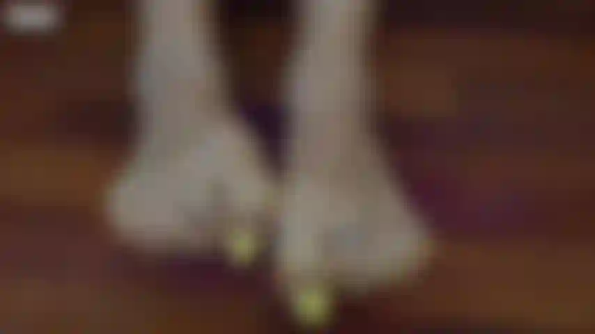 Tutto ciò di cui hai bisogno sono i miei piedi.