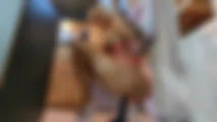 Cazzo di figa con un grosso dildo.