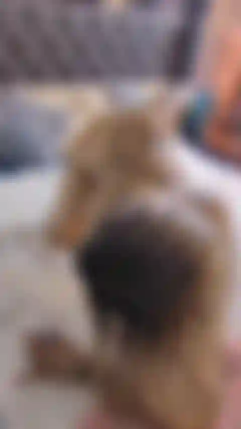 Così strana, così sexy