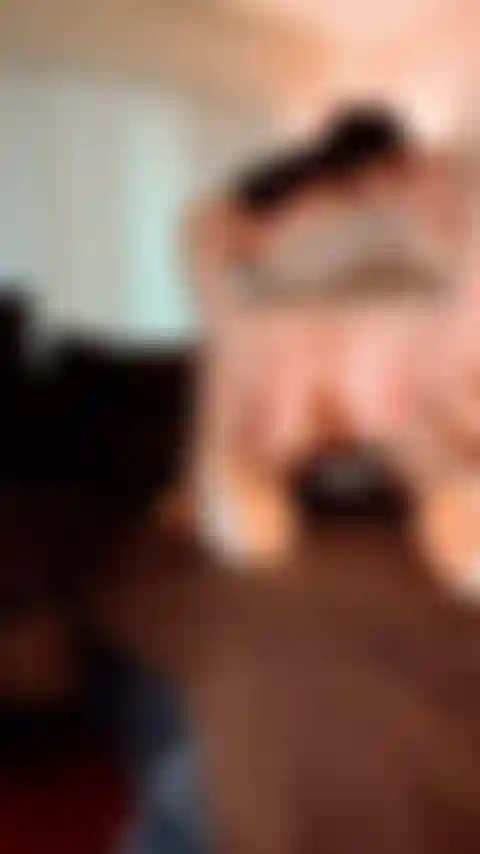 Spettacolo anale bollente.