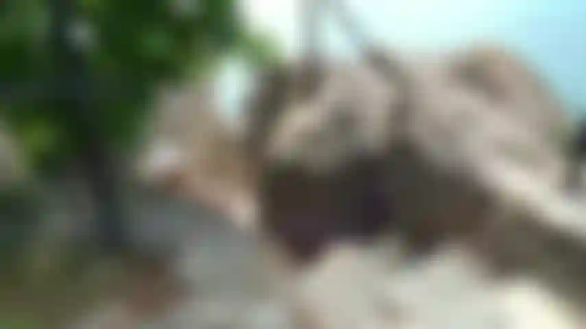 Luce del sole dorata.