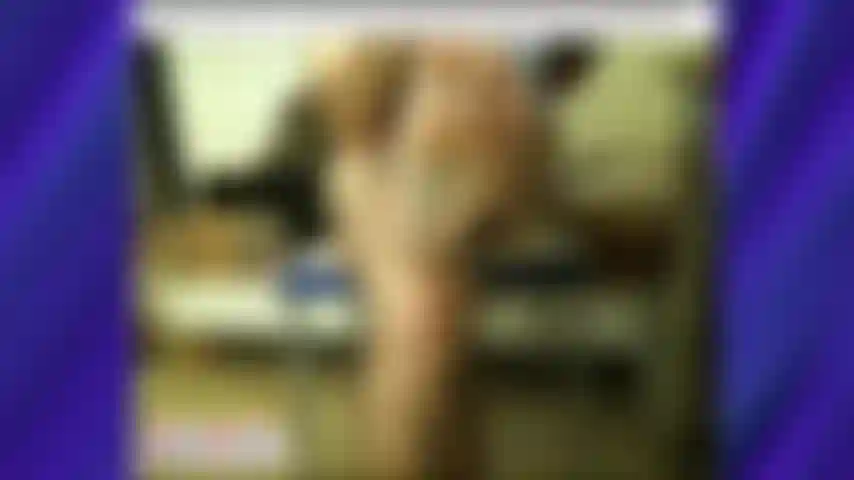 I piedi del coach karl sulla strada a praga [1281].