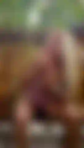 Che succhia il tuo duro cazzo.