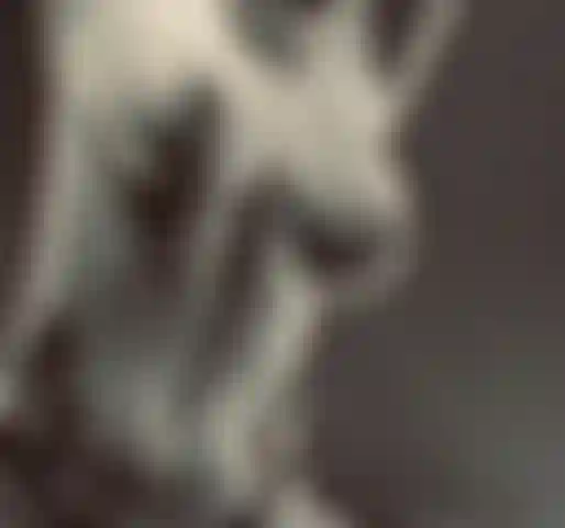 Provocano le tette di cosmic vixx.