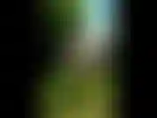 Mi diverto fuori e faccio una gara di magliette bagnate in una delle mie sottilissime canottiere da corsa per rinfrescarmi in una calda giornata estiva.