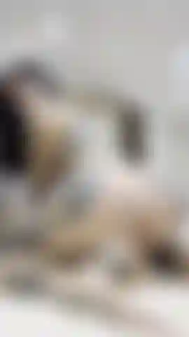 Reverse_cowgirl con dildo.