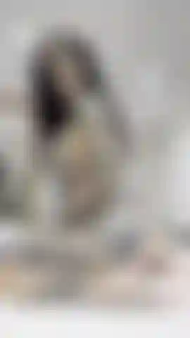 Twerking:sculacciata.