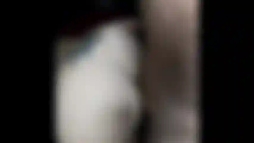 Pecorina anale, cavalcata, sollevata.