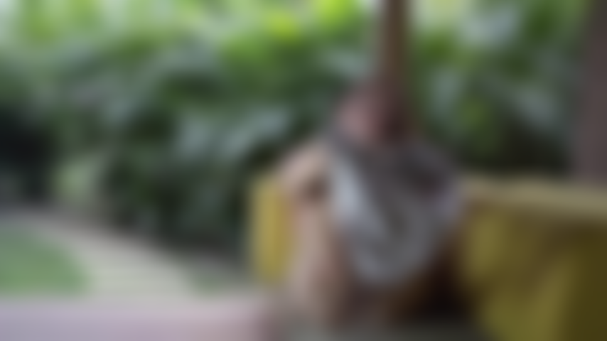 Allargo le gambe per farti vedere tutte le cose belle.