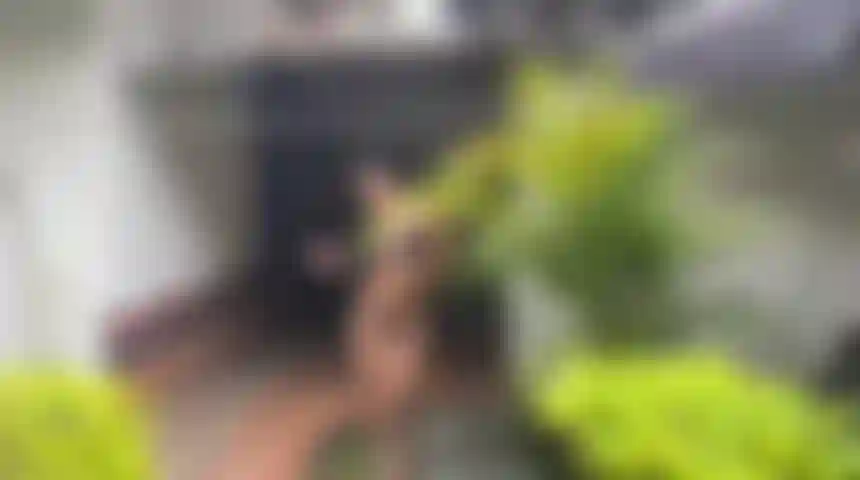 Seduction is an explosion of worlds