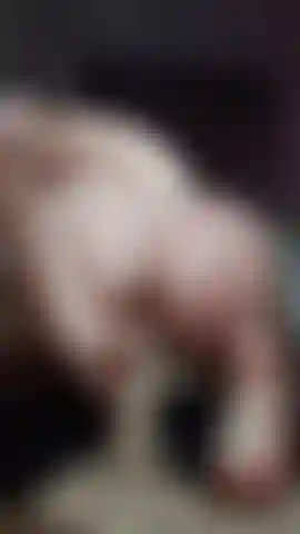 Cavalca un dildo da cowgirl al contrario con un culo grosso.