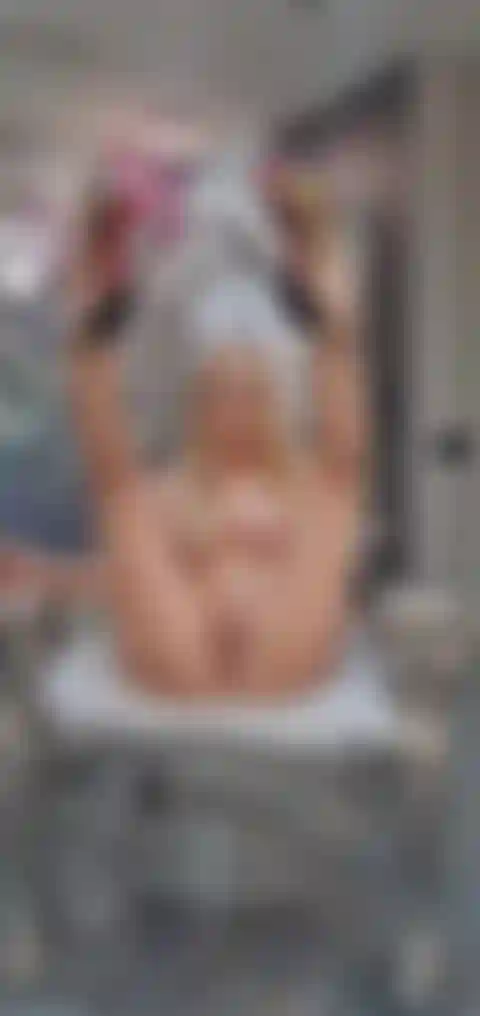 La mia fica gioca con un dildo e squirta.