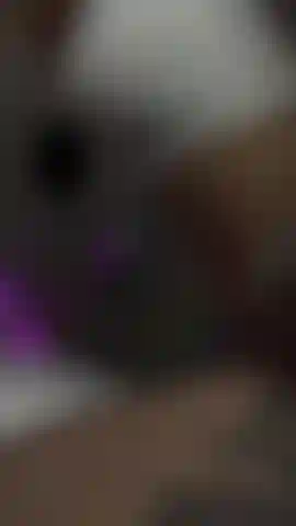 Cavalca il cuscinowww.