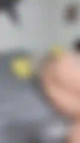 Gioca con la lingerie senza cavallo / dildo.