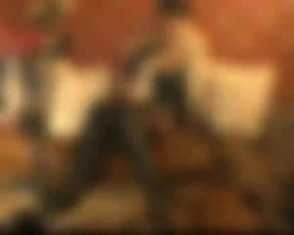 Pelle e pelliccia 2.