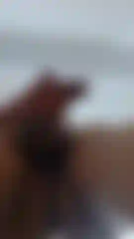 Il mio enorme cazzo versa tutto il suo latte.