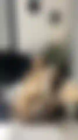 Un'angolazione perfetta, la giusta illuminazione e un forte desiderio di essere cattiva.