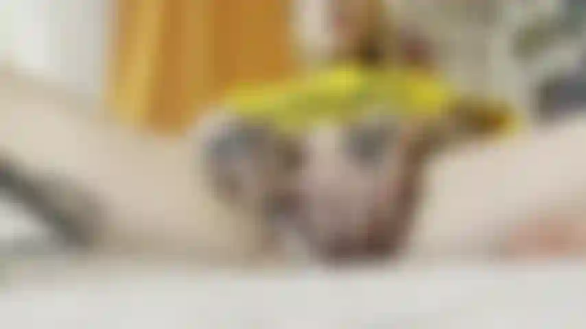 Che si tocca con le dita nella sua maglietta dewalt.