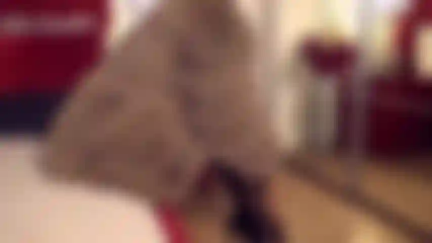 Sto vivendo un momento intenso indossando la mia pelliccia.