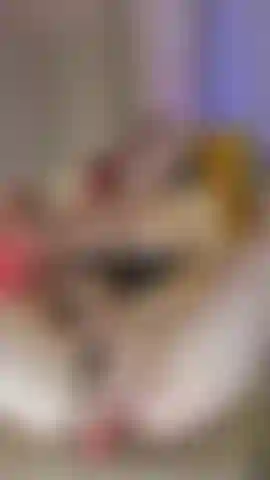 Come here, my love, and rub my pussy.