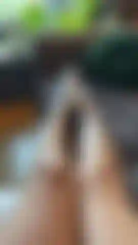 Stuzzico i miei piedi con i miei calzini bianchi da ginnastica e li tolgo lentamente.