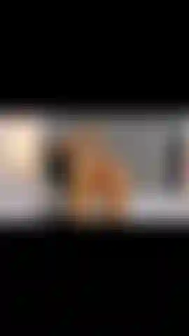 My ass is ready to swallow everything... come watch it open.