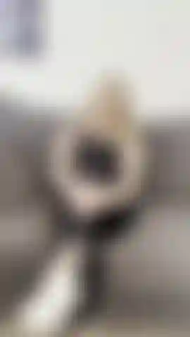 Adorazione dei piedi sporchi e sudati della palestra.