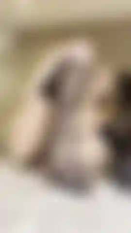 Che provoco con i piedi coperti di calze.