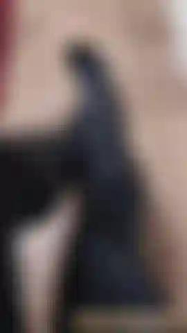 Ebony Goddess Destiny Black Leather Boots Worship POV........               Get on our knees and worship my boots. Make love to them because that is the closest you will ever get to doing it. You know I enjoy having my leather boots worshipped whilst draining My subs and slaves at the same time. My captivating English voice is hard to resist. Serve and stimulate my deviant sensual desires...                                                                                                                                                                                                                                                                                                                                                                                                                                                                                                                                                                                                                                                                                                                                                                                                                                                                                                                                                                                                                                                                                                                                                                                                                                                                                                                                                                                                                                                                                                                                                                                                                                                                                                                                                                    Send a TRIBUTE to show your appreciation towards Me: TRIBUTE: $10 - $50 TRIBUTE: $50 - $100 TRIBUTE: $100 - $200 TRIBUTE: $200 - $500 TRIBUTE: $500 - $1000 TRIBUTE: $1000 - $3000 TRIBUTE: $3000 - $6000 TRIBUTE: $6000 - $10,000